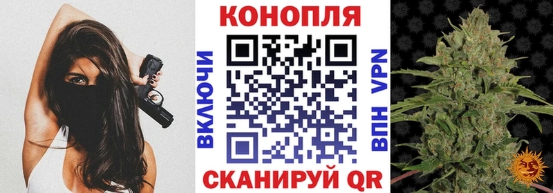 Конопля конопля  МЕГА ссылки  Сосновка 